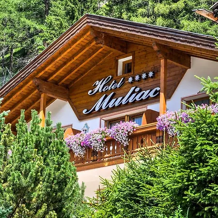 Muliac Selva di Val Gardena